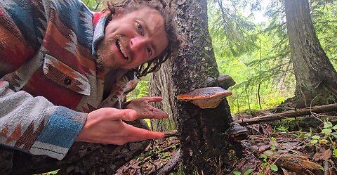 Wild Is Better Than Organic