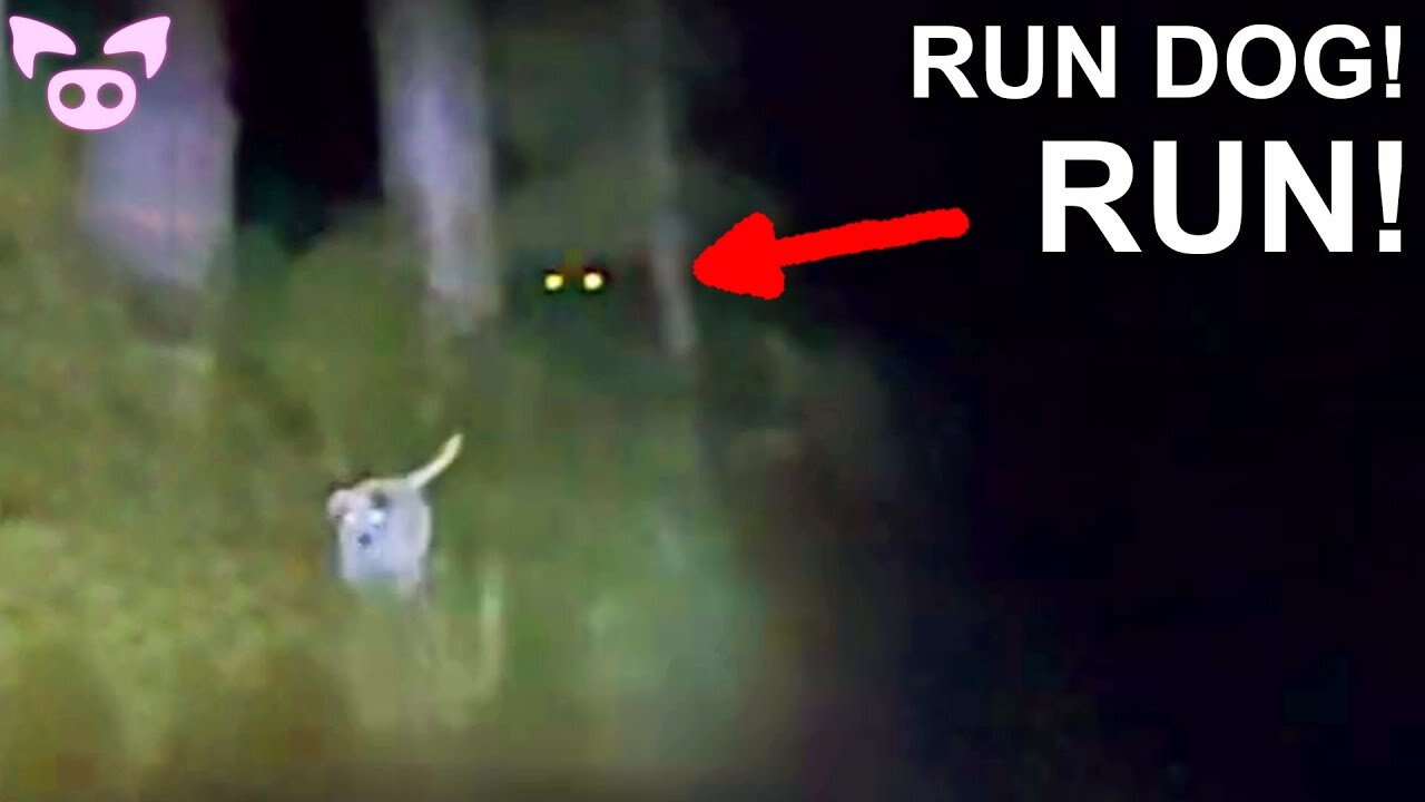 These Scary Videos Are Not For Everyone