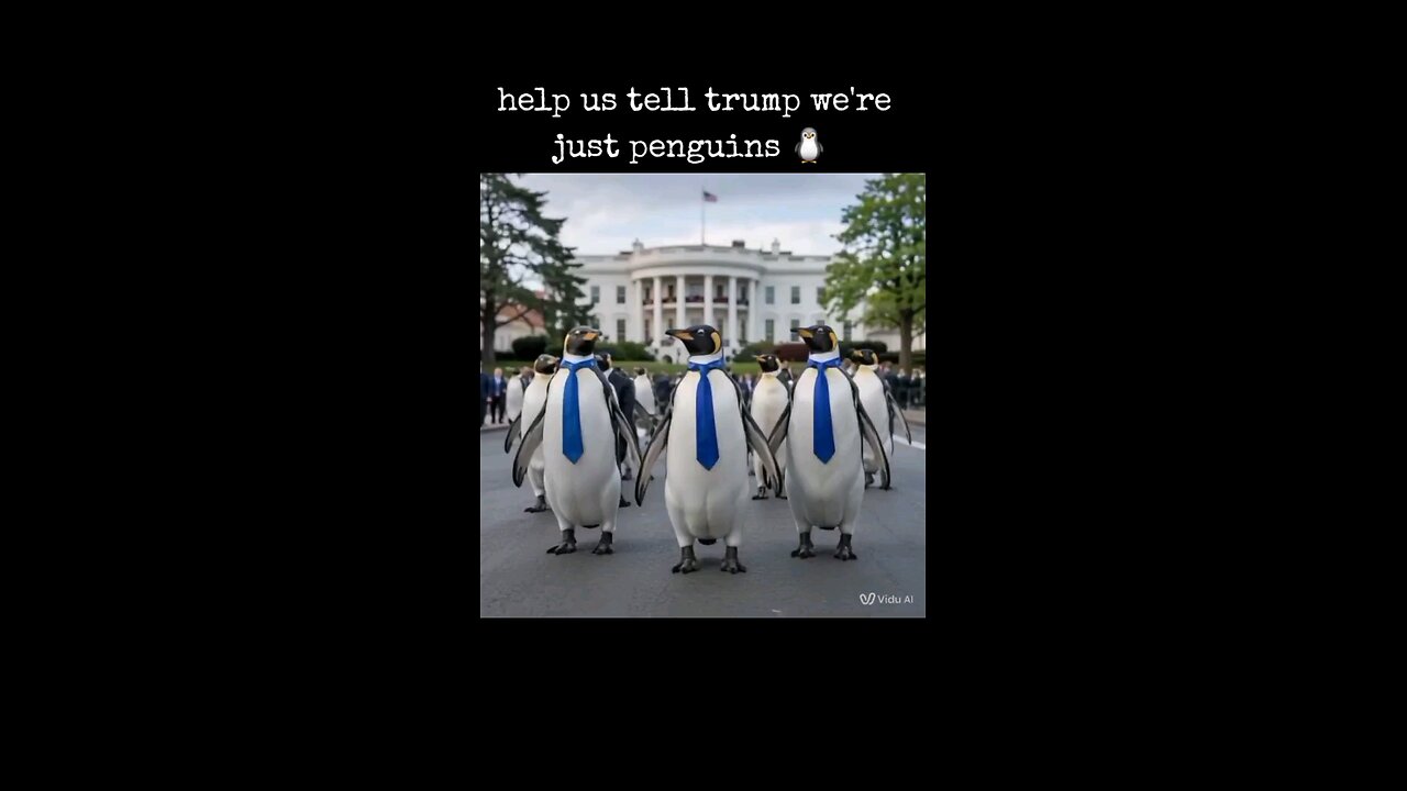 penguins went on protest 🤣🤣( ai generated)