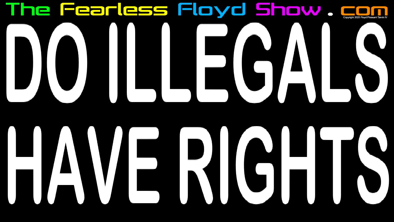 Do Illegal Immigrants have US Constituional Rights?