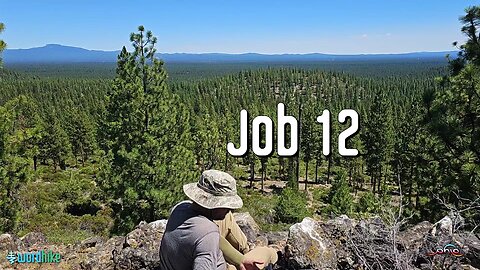 Job 12