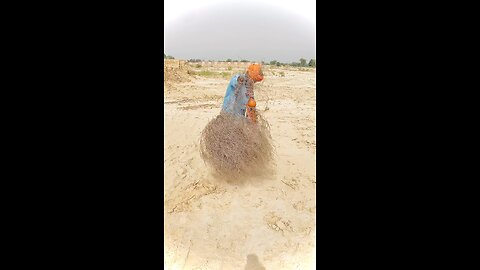 snack entertainment video
