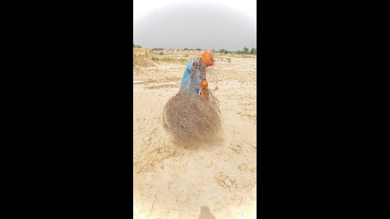 snack entertainment video