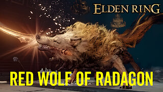 Red Wolf of Radagon - Elden Ring Boss Fight