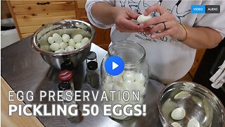 Pickling 50 Eggs | Preserving Eggs 3 Ways