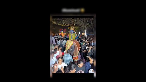 🐘🐘🐘🐘