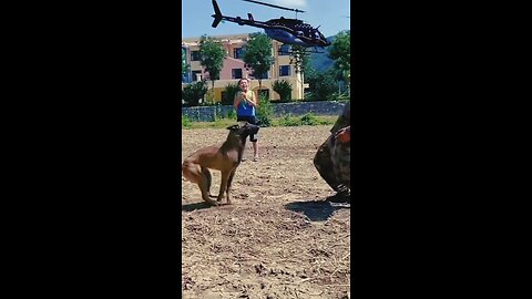 "Dog's Jaw-Dropping Jump! 🐕💥"#viralshorts