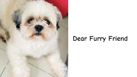 Dear Furry Friend