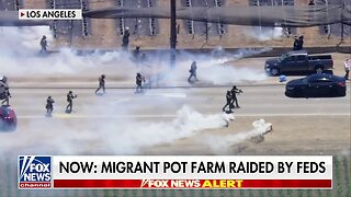 Migrant Marijuana Farm Raided By Feds