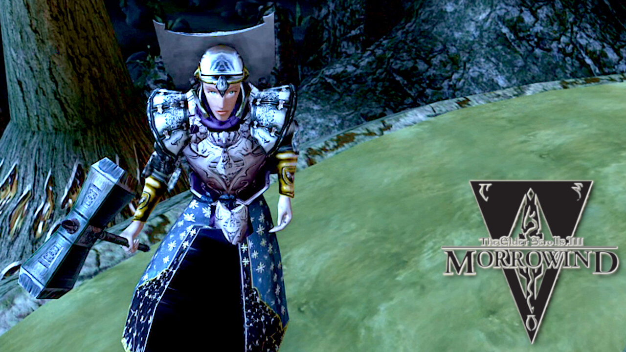 Misadventures - The Paladin's Heads Out Into the Wildnerness