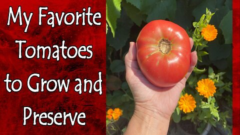 Favorite Tomatoes to Grow and Preserve