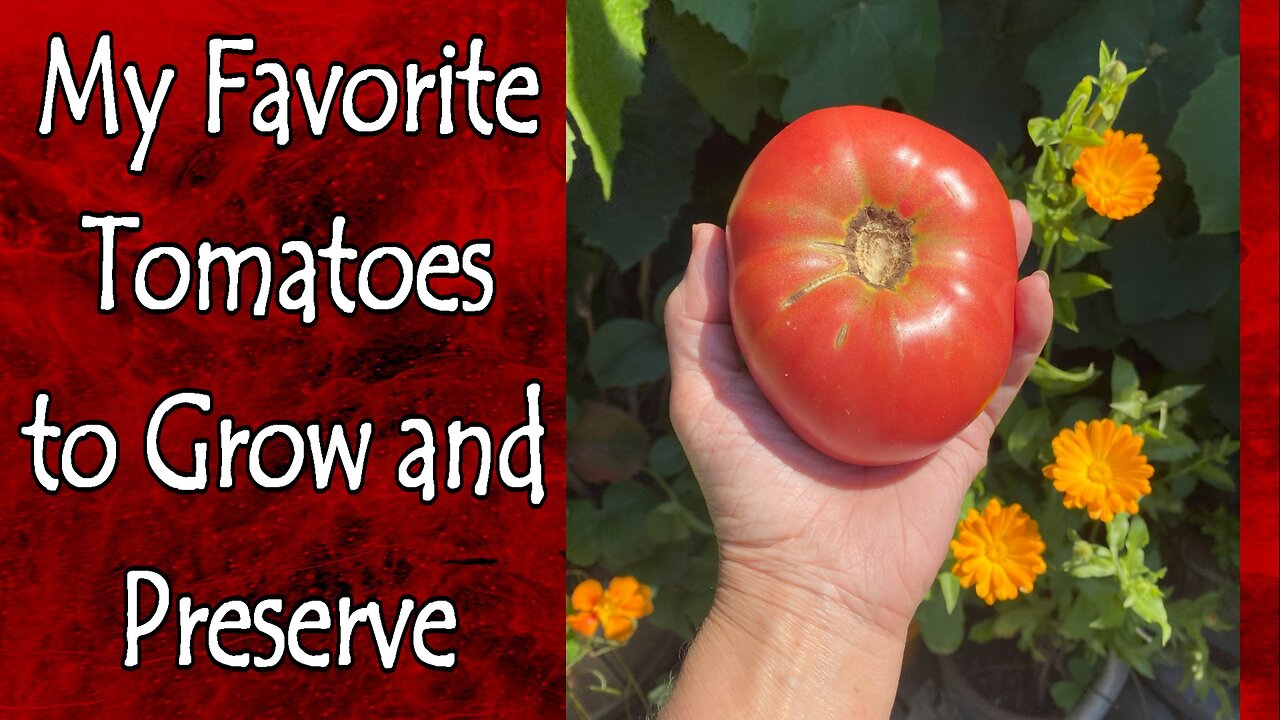 Favorite Tomatoes to Grow and Preserve