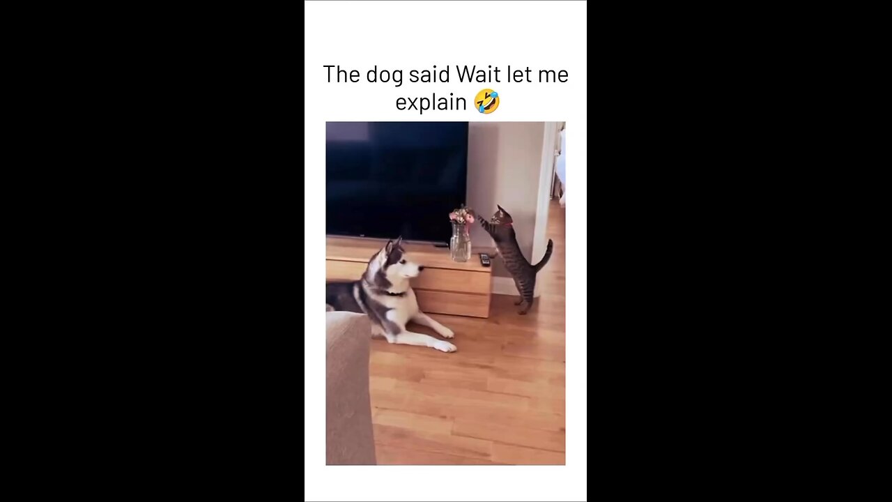 😂😂