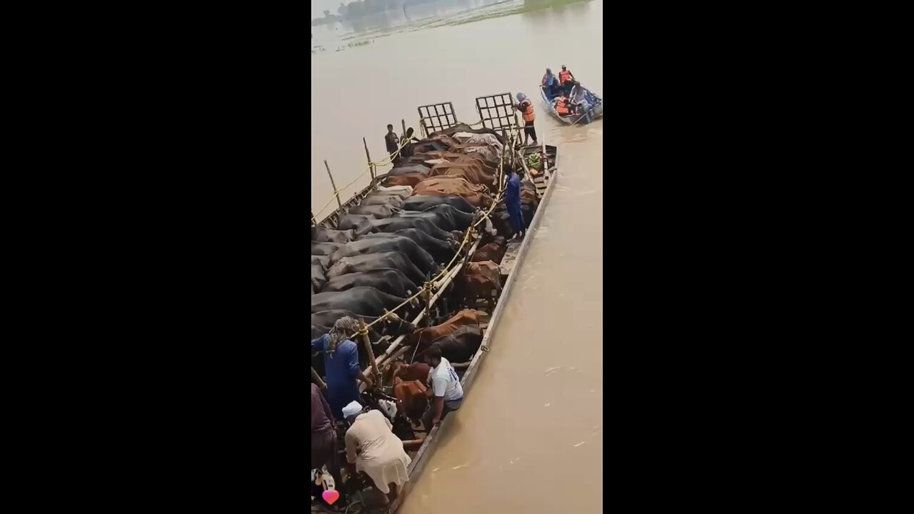 Punjab flood relief 🙏🙏