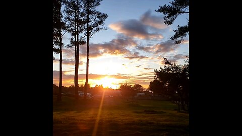 A pretty February sky at Hidden Pines for family, friends, guests, and subscribers. From Fort Bragg