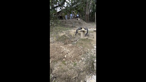 Vida na roça