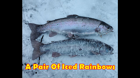A Pair Of Iced Rainbows