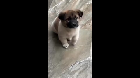 I can't wait. It tastes good, doesn't it?🐕🥰