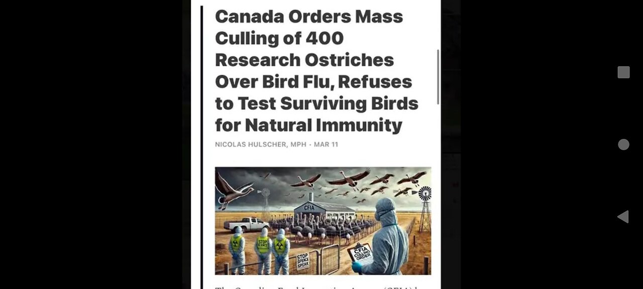 OSTRICH DANCE VS. CORRUPT GOVT TACTICS