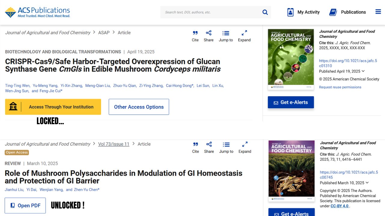 I Got Access To PAYWALLED ACS Publications!