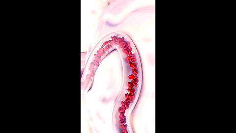 FOOD THAT HELP PURITY BLOOD