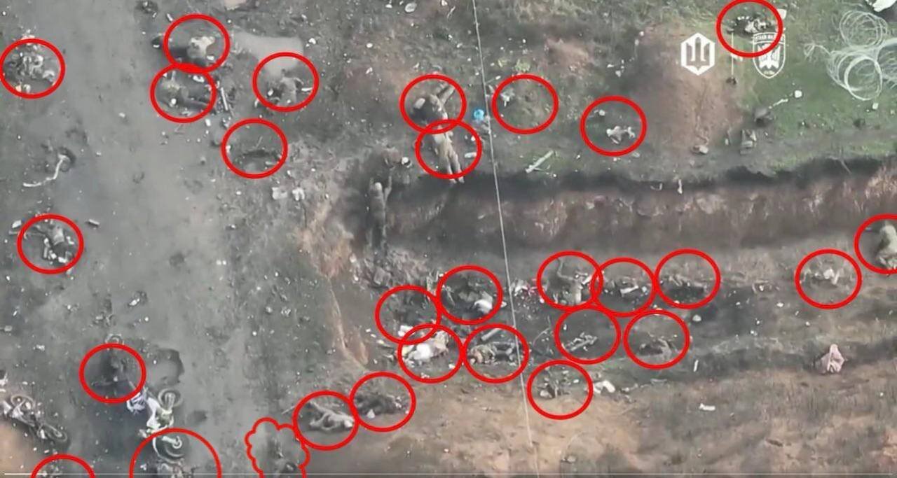 Война в Украине часть 488