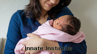 The Rant-Innate Instincts?