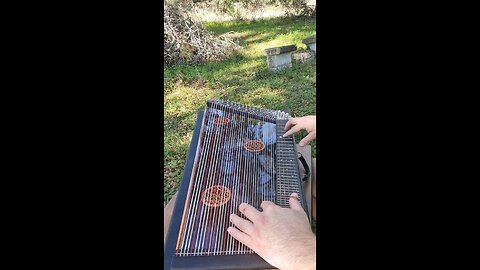 Luke's Quiver on the Alto Zither!
