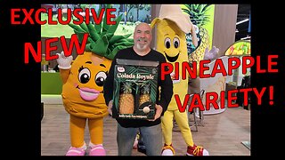 Colada Royale Pineapple EXCLUSIVE: Dole’s New Tropical Superstar!