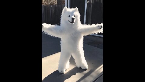 AI animation