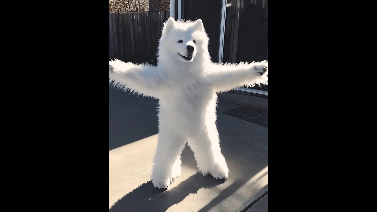 AI animation