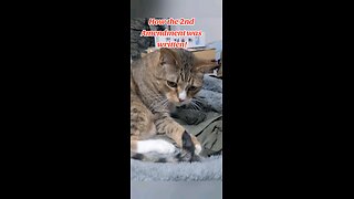 How the 2nd Amendment was written!