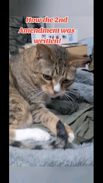 How the 2nd Amendment was written!