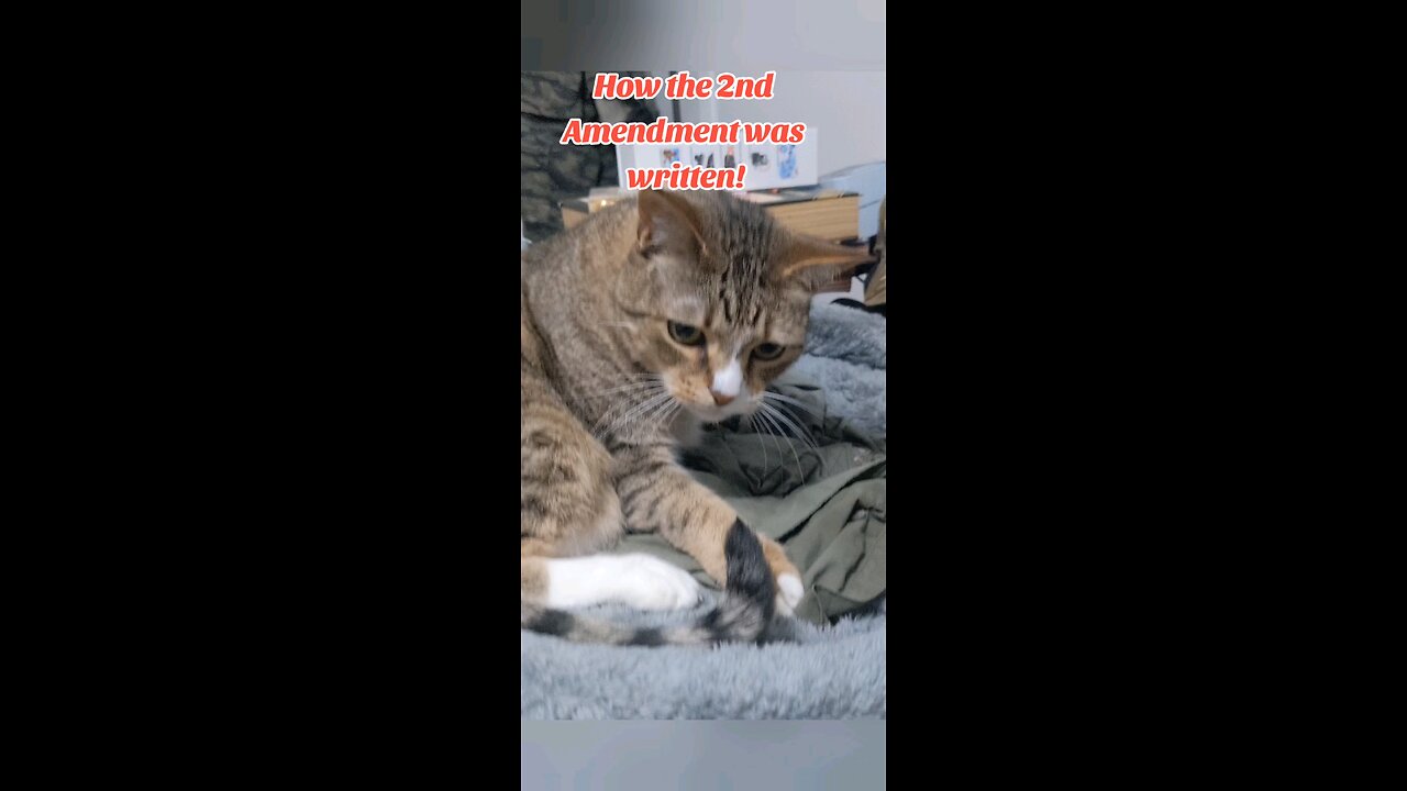 How the 2nd Amendment was written!