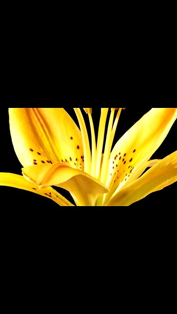 OUR TRIALS: ALLOWED BY GOD - DAILY DEVOTIONAL ❤️