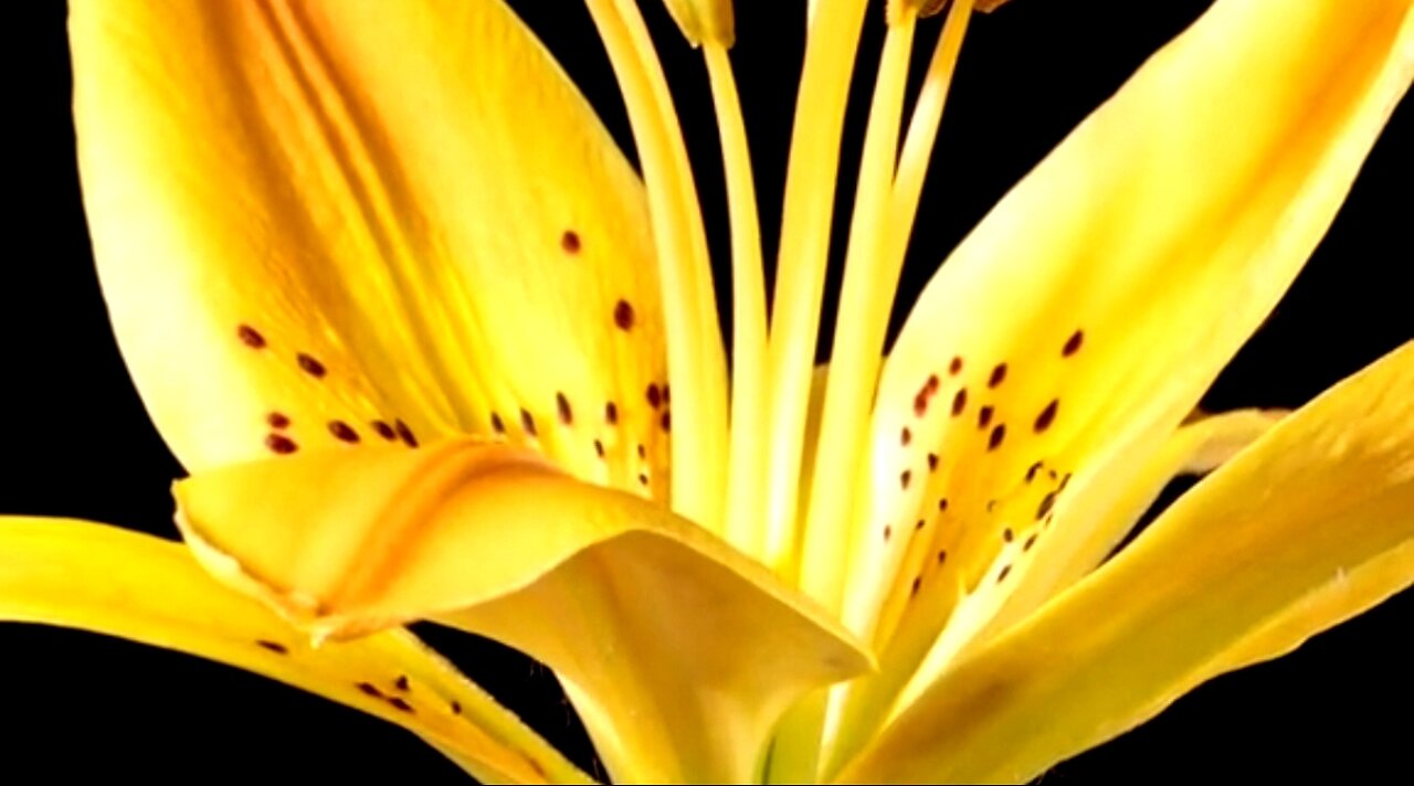 OUR TRIALS: ALLOWED BY GOD - DAILY DEVOTIONAL ❤️