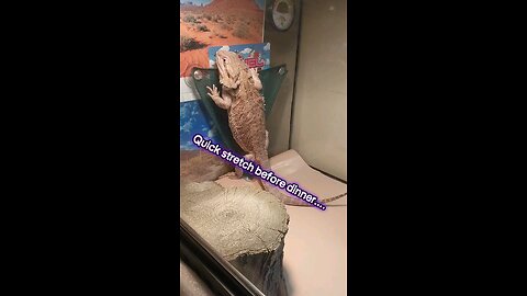 Freak out before dinner
