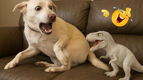 Laugh Till You Drop 🤣🐾 Funniest Pets Compilation 2025
