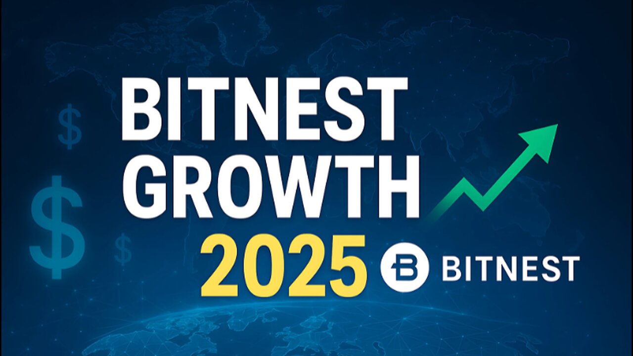 How BIG Is Bitnest in 2025? My Strategy & Next Moves!