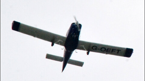 Winged flying Monkey Mark Alan Lee unsafe fly reported dozens of times