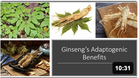 Ginseng Adaptogen Benefits