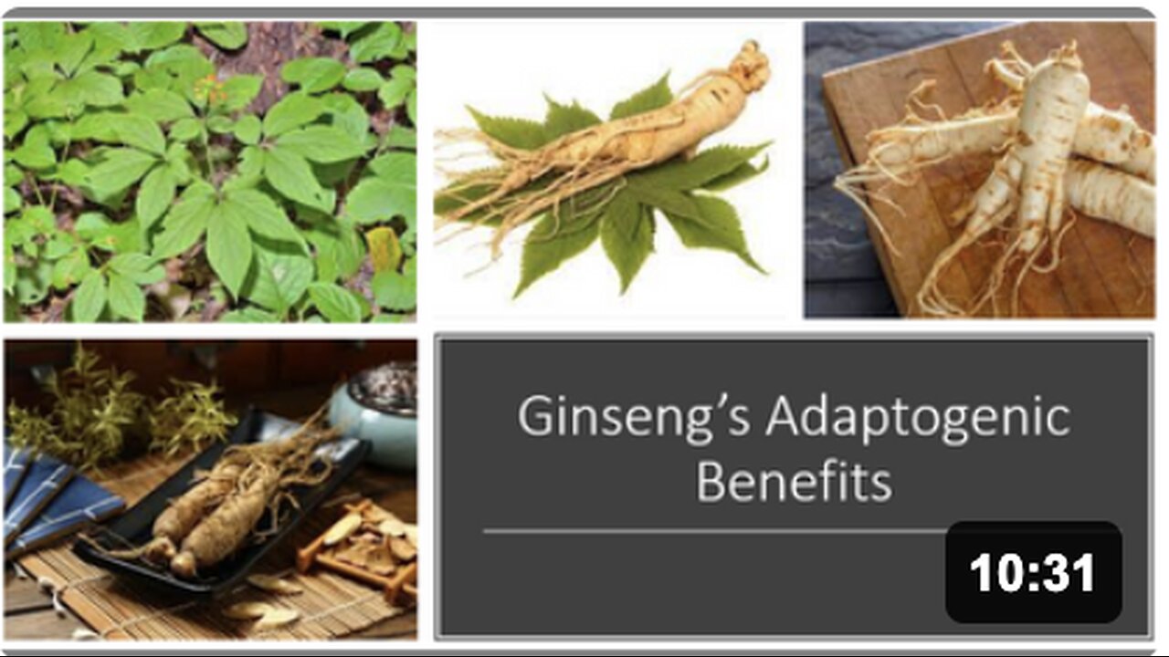 Ginseng Adaptogen Benefits