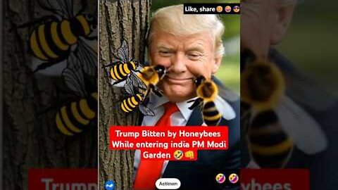 PM Modiji Send Few HONEYBEES to BITE Trump | AI Funny Comedy Video