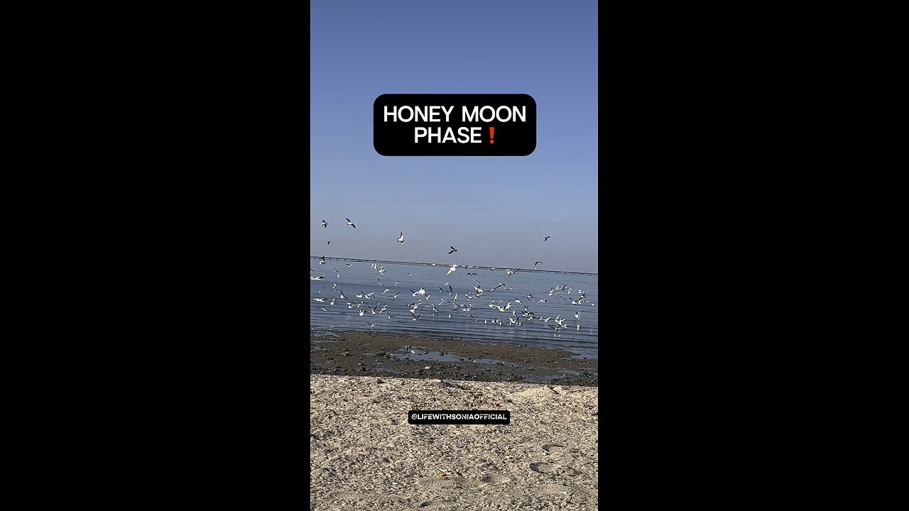 Honey moon phase ❗️