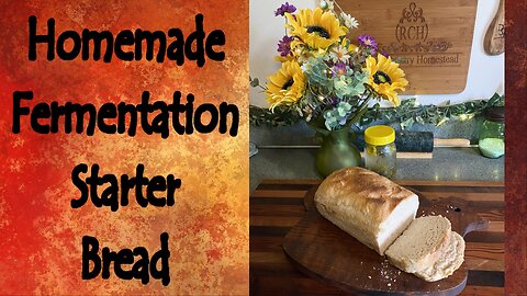 Making Bread with a Homemade Fermentation Starter