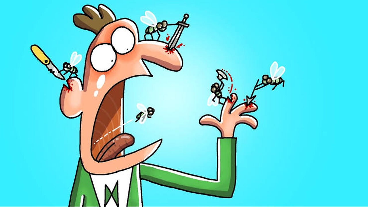 a Fly on the Toilet | Cartoon Box 321 by Boysm | Hilarious Cartoon Compilation