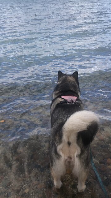 Wednesday October 22, “See I am doing a new thing “