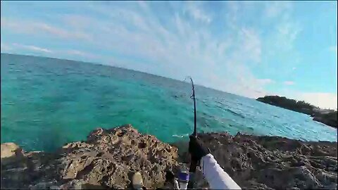 Catching and cooking fresh fish 🐟 in a cave