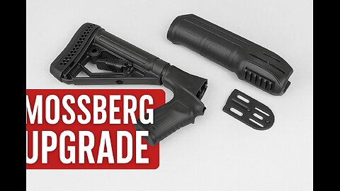 Adaptive Tactical EX Performance Adjustable Stock & Forend