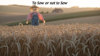 The Rant-To Sow or not to Sow?